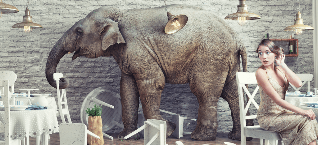 Addressing the Elephant in the Room - Is BulbHead Going Out of Business?